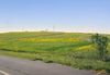 Lot 220a East Anamosa Street photo
